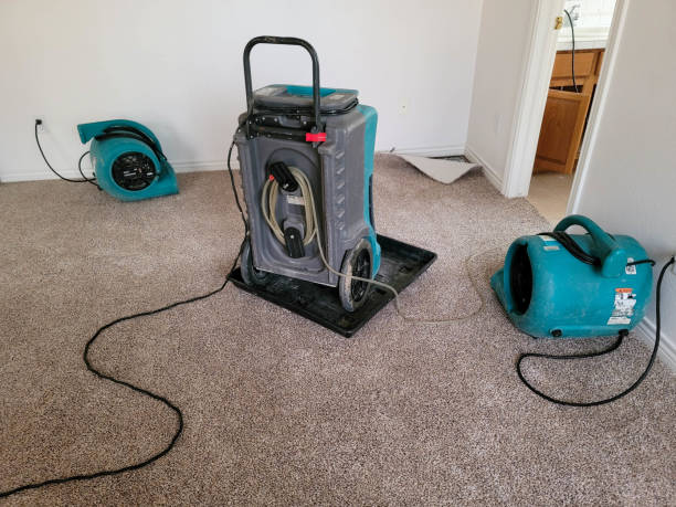 Best Fire Damage Restoration  in Swartz, LA