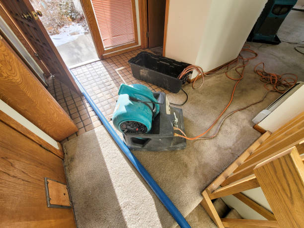 Best Carpet water damage restoration  in Swartz, LA