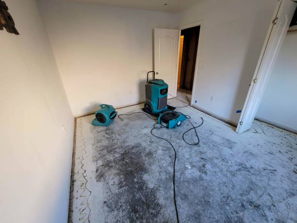 Best Professional water damage repair  in Swartz, LA