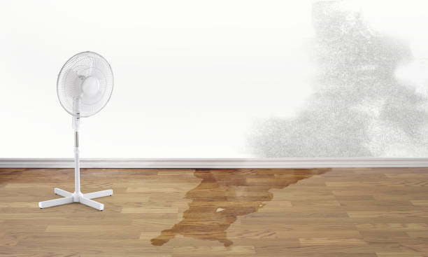 Best Water damage repair service  in Swartz, LA