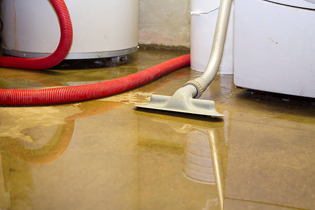 Best Commercial water damage restoration  in Swartz, LA