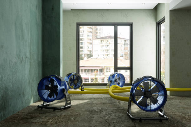 24/7 water damage repair in Swartz, LA